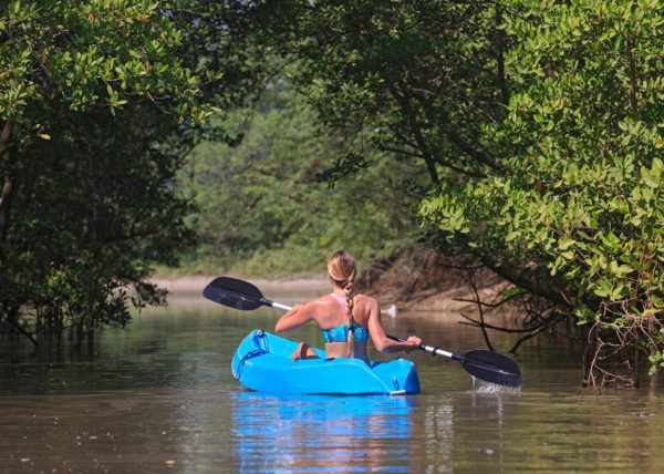 Mangrove Kayaking | Costa Elena