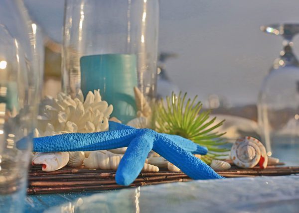 Sea Star décor