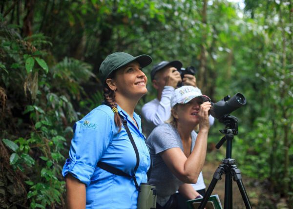 Naturalist guide takes tourists on a forest birdwatching tour - Arenas del Mar | Cayuga Collection